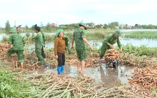 Bộ đội Biên phòng giúp dân thu hoạch chạy lũ