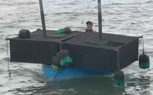 Người dân nuôi tôm hùm di dời lồng bè tránh bão