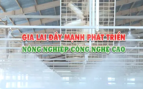 Gia Lai đẩy mạnh phát triển nông nghiệp công nghệ cao