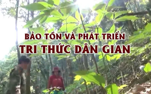 Bảo tồn và phát triển tri thức dân gian