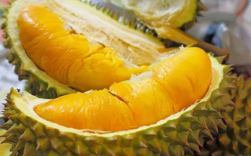 Minh bạch truy xuất nguồn gốc giữ thị trường xuất khẩu