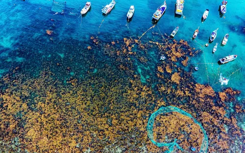 Gia Lai hoạch định du lịch mang bản sắc đại ngàn và biển xanh