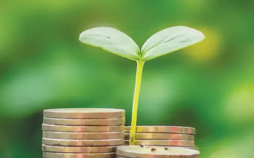 Tín dụng xanh và dòng vốn ngoại: Cơ hội cho thị trường Việt Nam