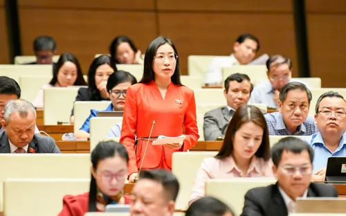 Đề xuất phân loại phiên livestream có doanh thu lớn để quản lý