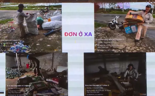 Tổng kết Dự án mGreen