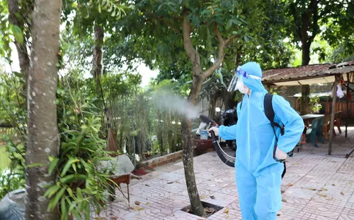 TP Hồ Chí Minh: Gần 2.000 ca sốt xuất huyết, hơn 1.400 ca tay chân miệng trong tuần 45