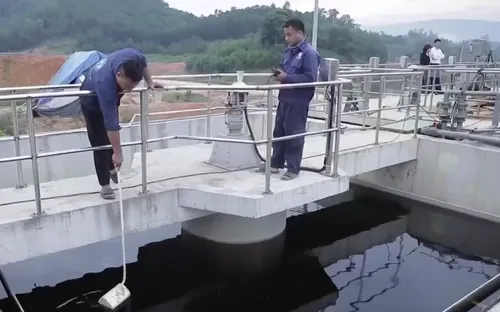 Bất cập kiểm soát nước thải của các trang trại chăn nuôi