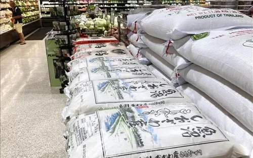 Gạo bán lẻ Nhật Bản tăng liên tiếp, cao nhất từ trước đến nay
