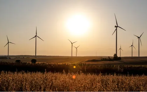 "Ngân hàng điện" tại Trung Quốc