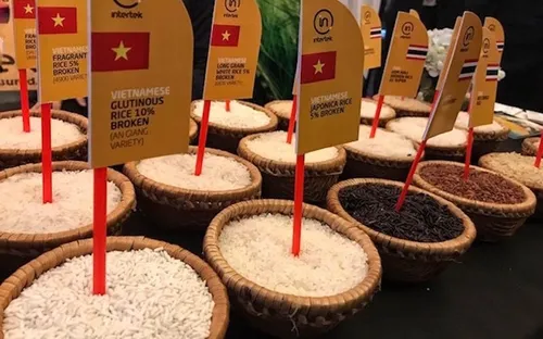 Cú hích mới cho xuất khẩu gạo Việt