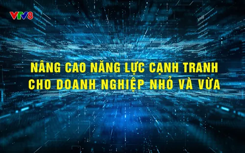 Phóng sự: Nâng cao năng lực cạnh tranh cho doanh nghiệp nhỏ và vừa (23/11/2025)