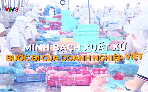 Phóng sự: Minh bạch xuất xứ - Bước đi của doanh nghiệp Việt (22/11/2025)