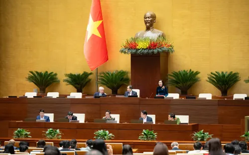 Dự án Luật Phòng, chống ma túy (sửa đổi): Làm rõ các quy định cai nghiện tự nguyện và bắt buộc