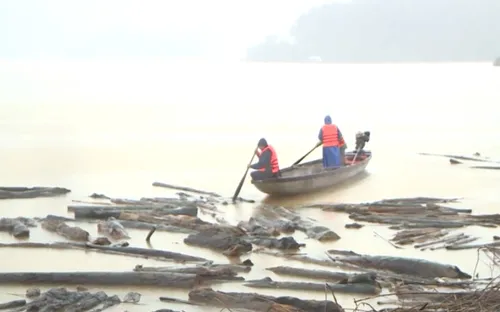 Trục vớt củi mục và gỗ ở các hồ đập thủy điện