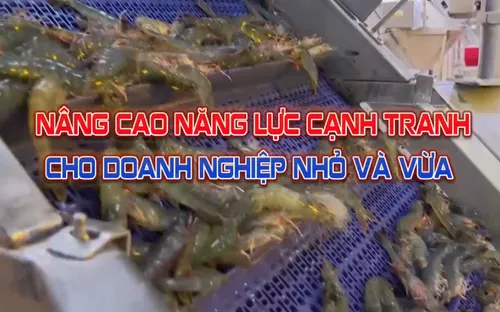 Nâng cao năng lực cạnh tranh cho doanh nghiệp vừa và nhỏ