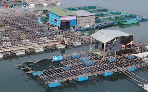 Khánh Hòa khẩn trương thu hoạch thủy sản trước bão số 15