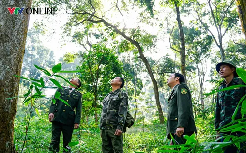 Tuyên Quang: Cán bộ kiểm lâm và người dân chung tay bảo vệ rừng Tân Trào
