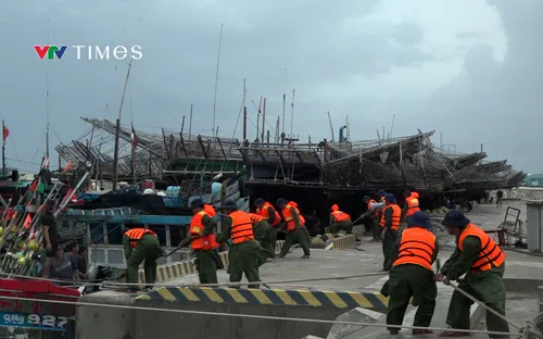 Trường Sa ứng phó bão số 15: Hơn 200 tàu cá trú ẩn an toàn