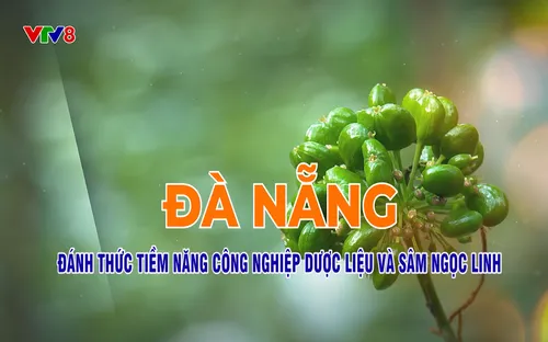 Kết nối để bứt phá: Đà Nẵng tiềm năng phát triển dược liệu (26/11/2025)