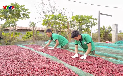 Phóng sự: Mở đường cho nông sản Việt vào CPTPP (29/11/2025)