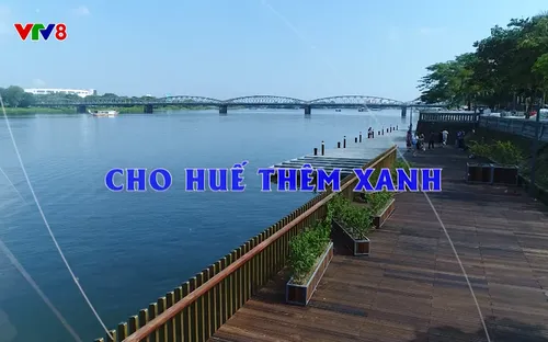 Phóng sự: Cho Huế thêm xanh (28/11/2025)
