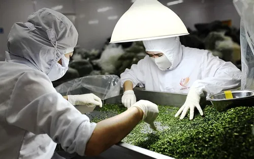 Chế biến sâu: "Chìa khóa vàng" mở lối tăng trưởng tỉ đô cho nông sản Việt