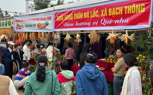 Ngày hội cam quýt – Điểm hẹn du lịch mới của Bạch Thông (Thái Nguyên)