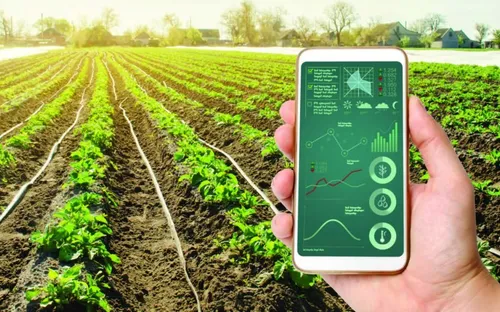 Ứng dụng AI và dữ liệu trong nông nghiệp: Cơ hội vàng để Việt Nam bứt phá