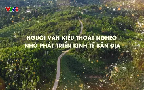 Phóng sự: Người Vân Kiều thoát nghèo nhờ phát triển kinh tế bản địa (07/12/2025)