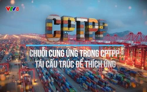 Phóng sự: Chuỗi cung ứng - tái cấu trúc để thích ứng (07/12/2025)