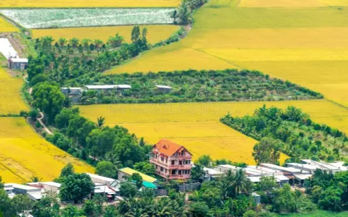 Giảm 70% tiền chuyển đổi đất nông nghiệp: Cứu cánh an sinh hay rủi ro đầu cơ đất?