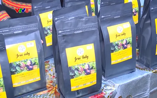 Tây Nguyên hôm nay: Nâng tầm cà phê nâng cao thu nhập (06/12/2025)