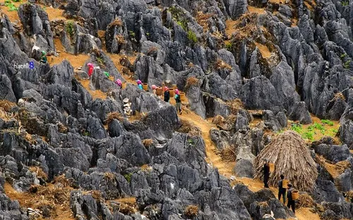 Hà Giang: Khúc ca đá nở hoa thành kiệt tác văn hóa hàng đầu thế giới