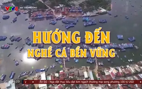 Hướng đến nghề cá bền vững