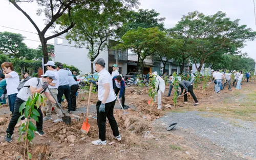 Hiện thực hóa Đề án phủ xanh đất trống