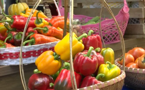 Thu hút đầu tư công nghệ cao - Đòn bẩy bứt phá nông nghiệp Quảng Ngãi