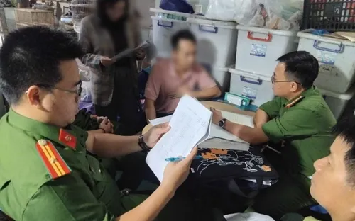 Kiểm tra hộ kinh doanh, thu giữ nhiều chim hoang dã quý hiếm