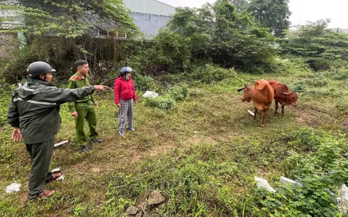 Vừa ra tù được 2 tháng lại tiếp tục trộm cắp bò của người dân