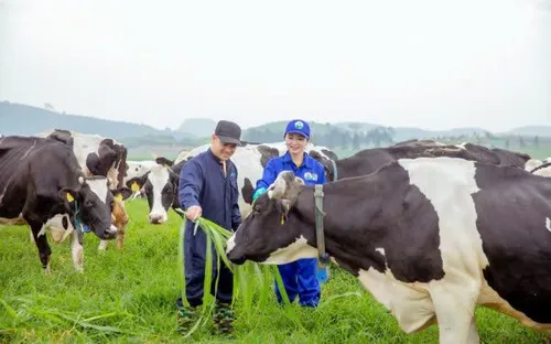 Thanh tra Chính phủ chỉ ra nhiều sai phạm tại 2 dự án ở Tuyên Quang