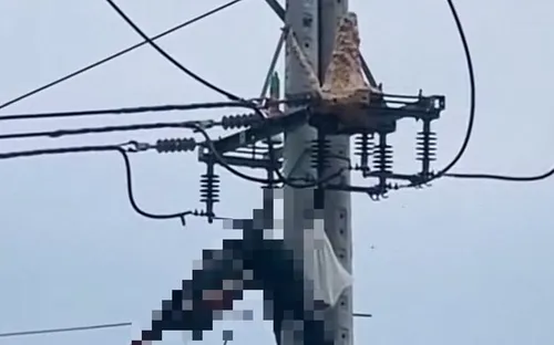 Trèo lên trụ điện bắt ong vò vẽ, nam thanh niên tử vong