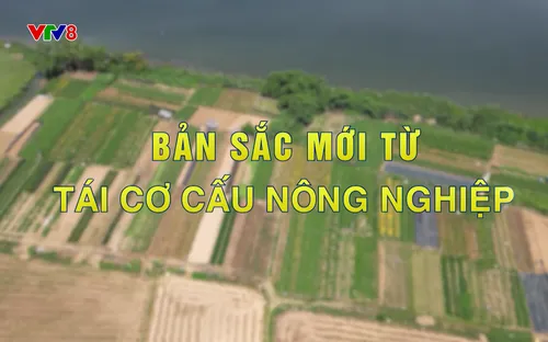 Phóng sự: Bản sắc mới từ tái cơ cấu nông nghiệp (12/12/2025)