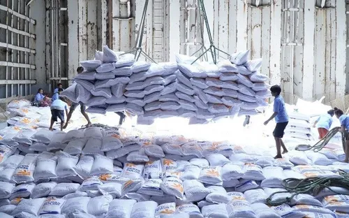 Ngành lúa gạo trước ngã rẽ xanh: Sụt giảm xuất khẩu và áp lực tái định vị