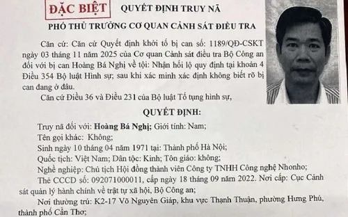 Bộ Công an truy nã đặc biệt Hoàng Bá Nghị, Chủ tịch Công ty công nghệ NhoNho