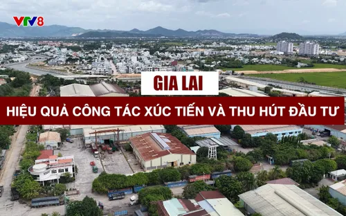 Phóng sự: Gia Lai: Hiệu quả công tác xúc tiến và thu hút đầu tư (14/12/2025)