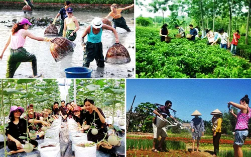 Du lịch sông nước và biển đảo: Tầm nhìn liên vùng là chìa khóa mở khóa tiềm năng cạnh tranh quốc tế