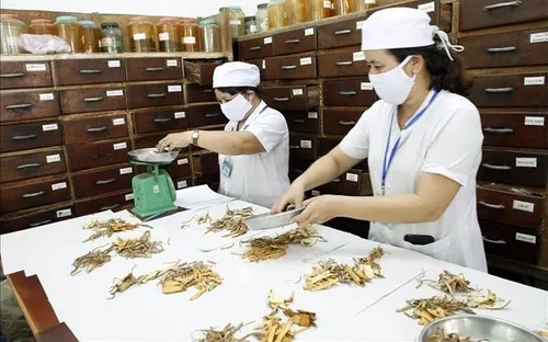 WHO ra mắt thư viện số toàn cầu, nâng tầm vai trò y học cổ truyền trong chăm sóc sức khỏe