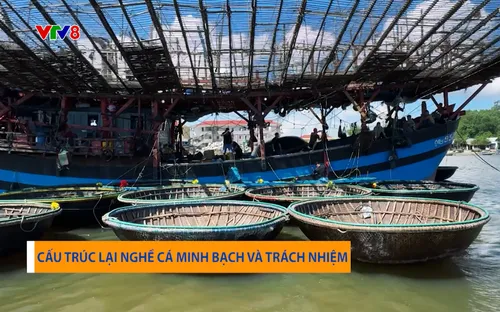 Phóng sự: Cấu trúc lại nghề cá minh bạch và trách nhiệm (15/12/2025)