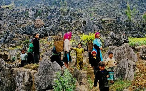 Lũng Cú – Tuyên Quang: Bản tình ca hoang sơ của đá và thác