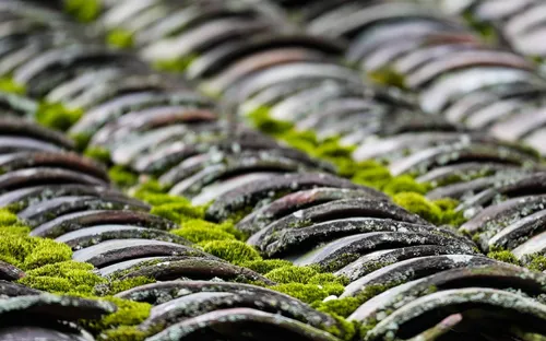 Mái ngói âm dương: Linh hồn trong kiến trúc nhà ở của người dân tộc Lạng Sơn