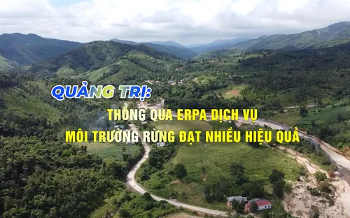 Phóng sự: Quảng Trị thông qua ERPA dịch vụ môi trường rừng (15/12/2025)